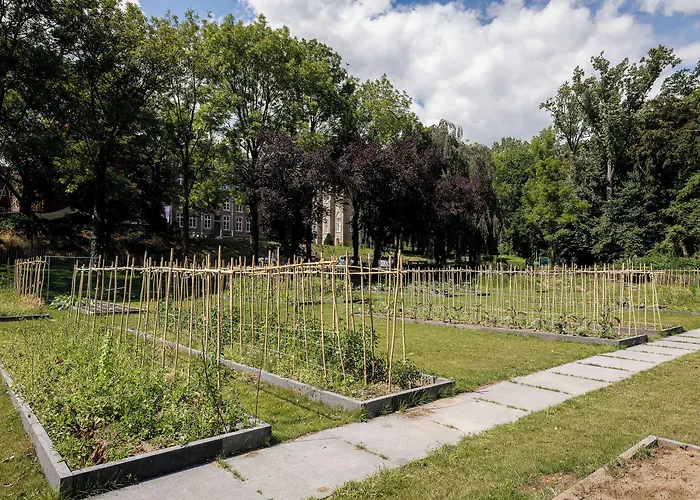 Отель Sephs Ситтард